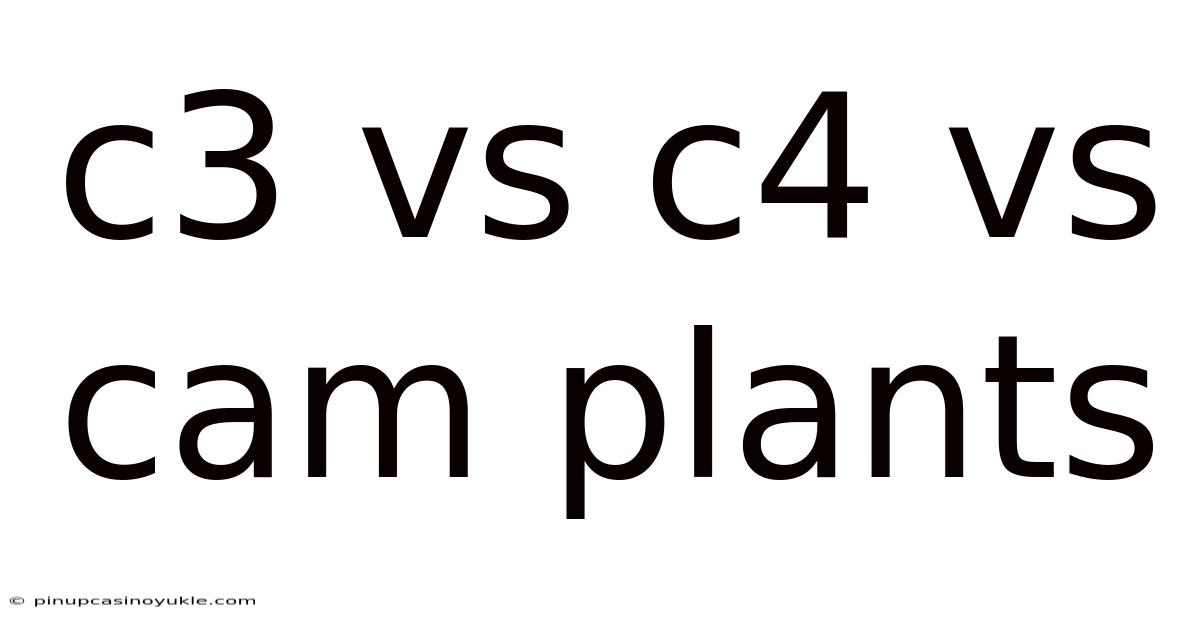 C3 Vs C4 Vs Cam Plants