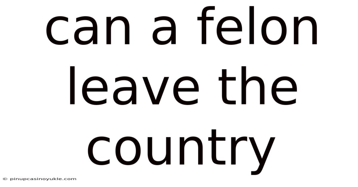 Can A Felon Leave The Country