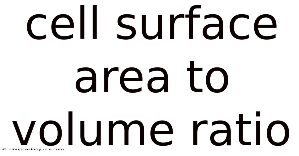Cell Surface Area To Volume Ratio