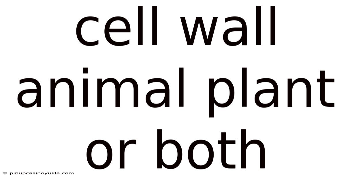 Cell Wall Animal Plant Or Both