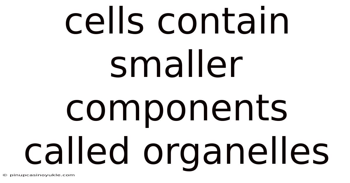 Cells Contain Smaller Components Called Organelles