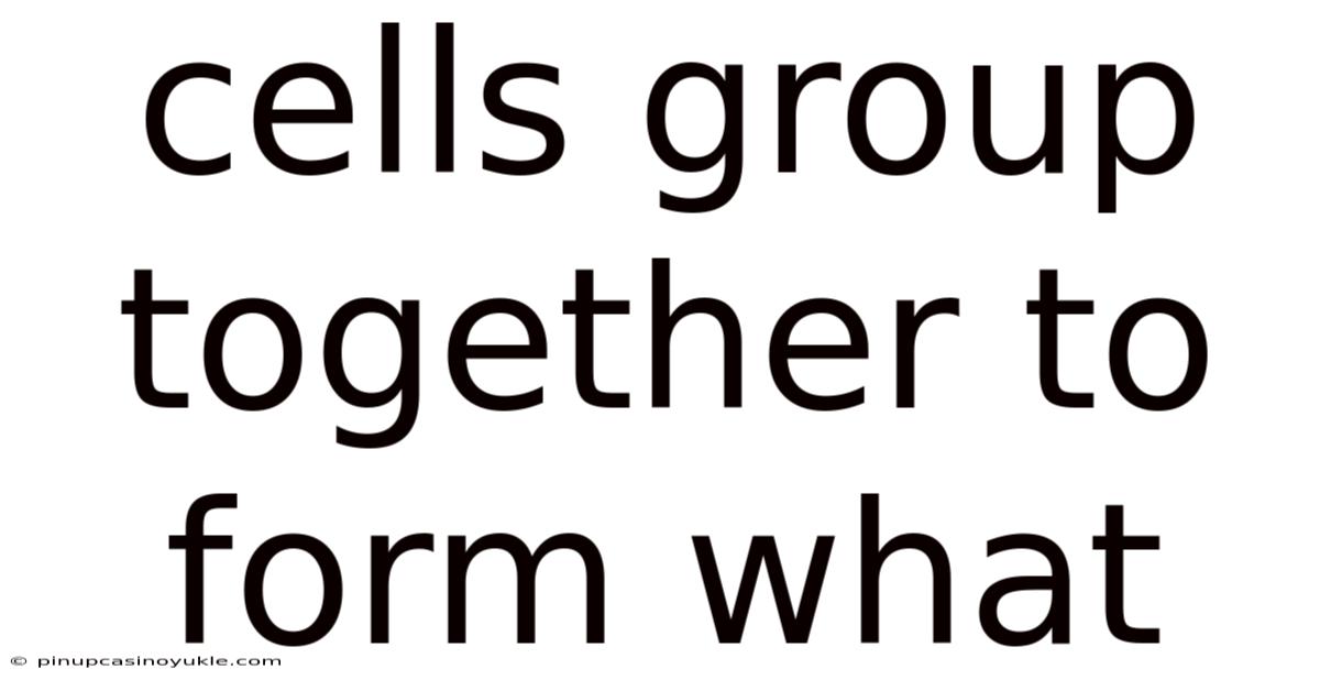 Cells Group Together To Form What