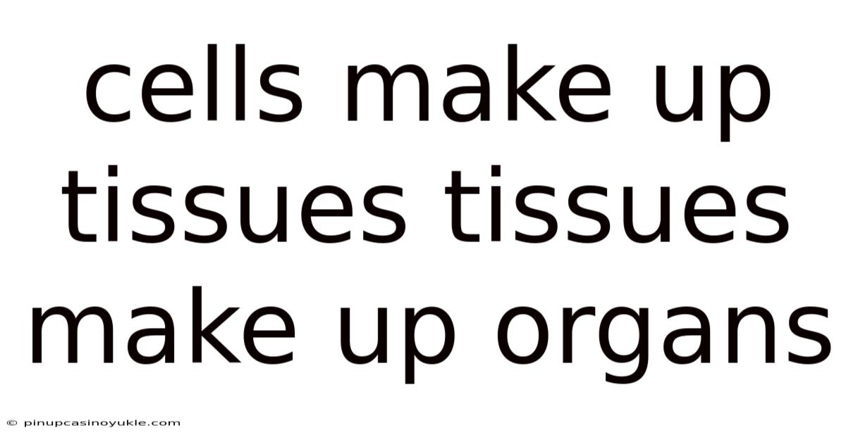 Cells Make Up Tissues Tissues Make Up Organs