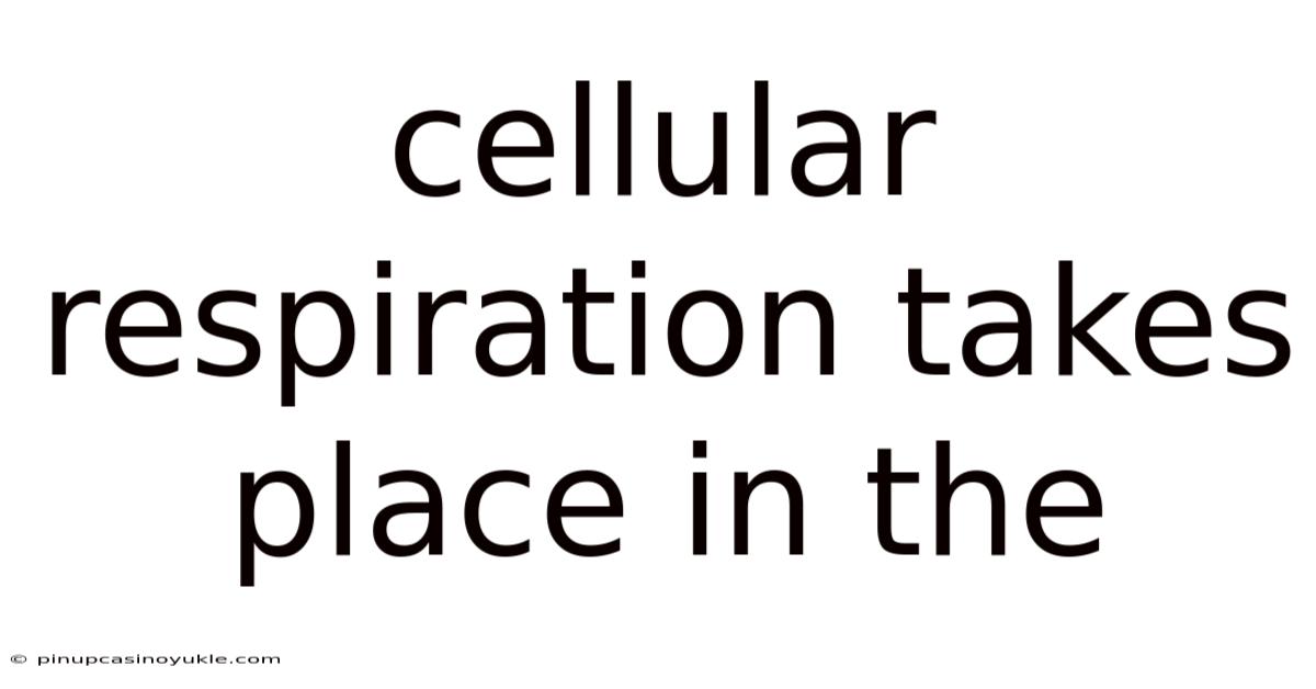 Cellular Respiration Takes Place In The