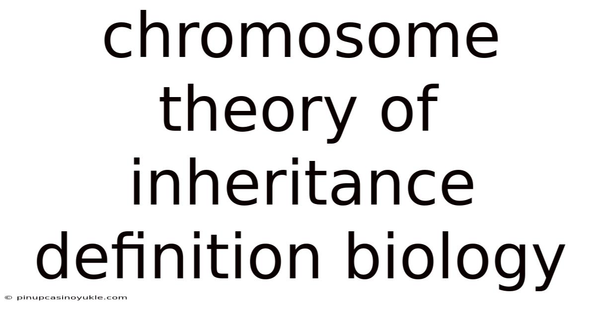 Chromosome Theory Of Inheritance Definition Biology