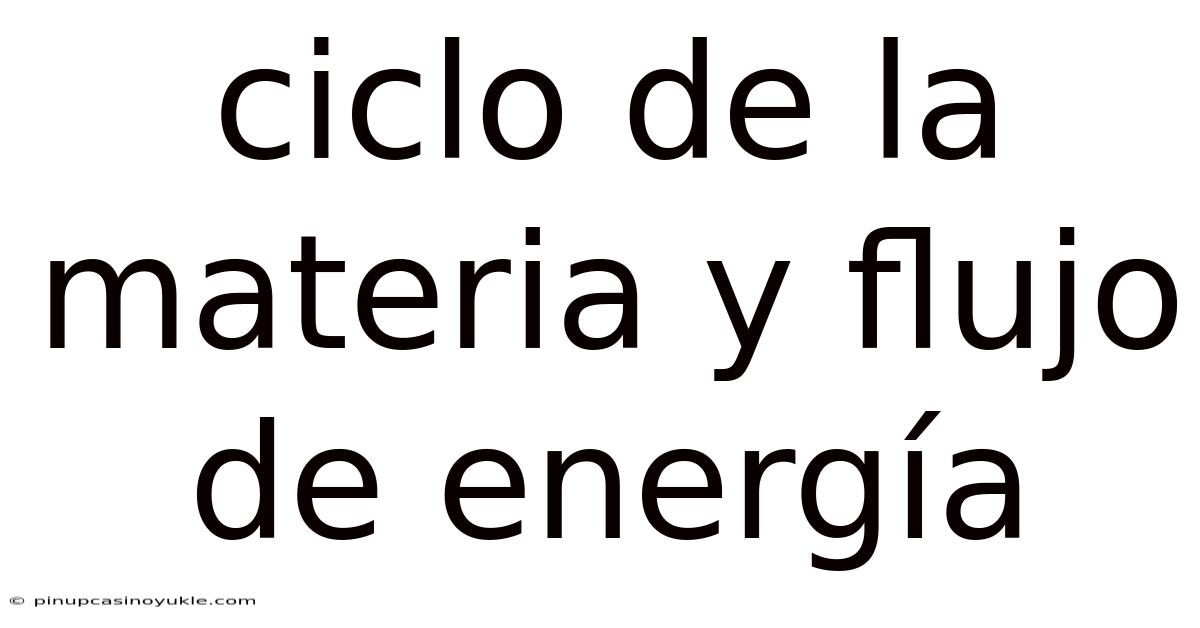 Ciclo De La Materia Y Flujo De Energía