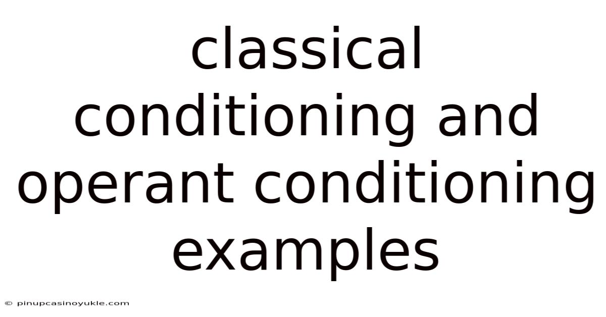 Classical Conditioning And Operant Conditioning Examples