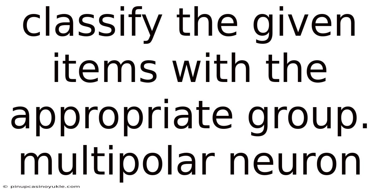 Classify The Given Items With The Appropriate Group. Multipolar Neuron