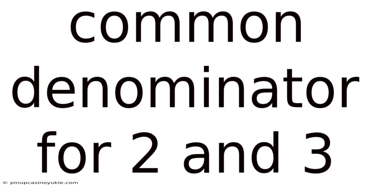 Common Denominator For 2 And 3