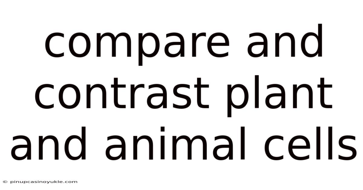 Compare And Contrast Plant And Animal Cells