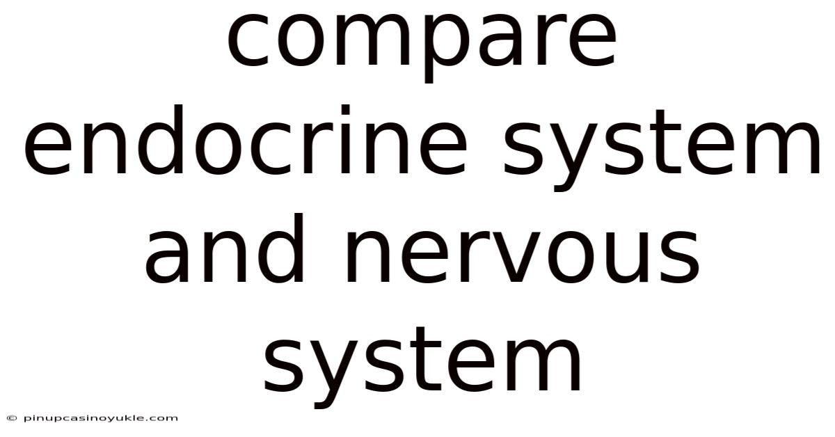 Compare Endocrine System And Nervous System