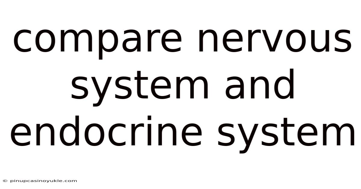 Compare Nervous System And Endocrine System