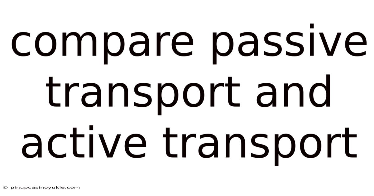 Compare Passive Transport And Active Transport