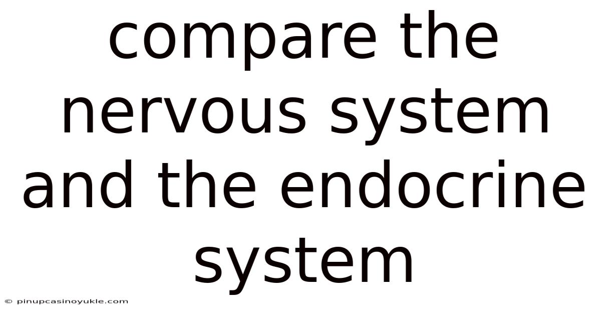 Compare The Nervous System And The Endocrine System