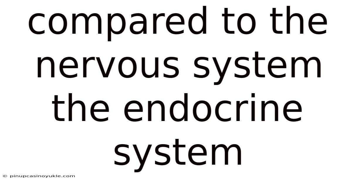 Compared To The Nervous System The Endocrine System