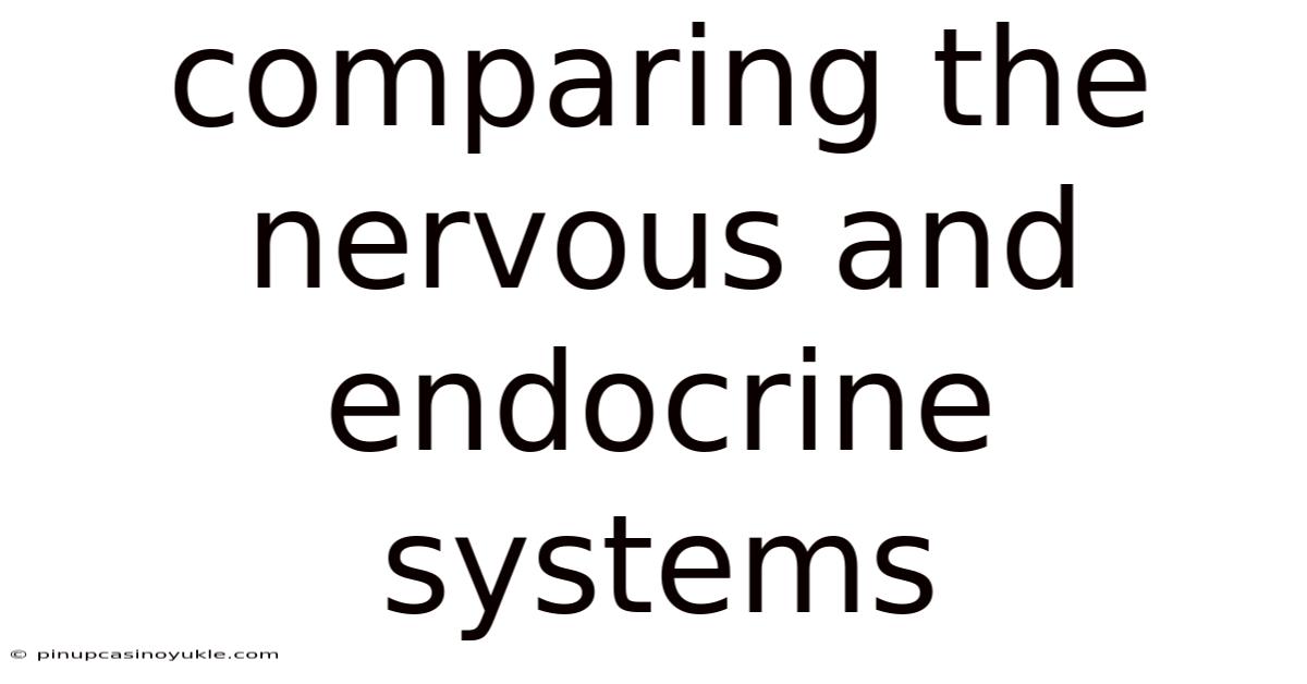 Comparing The Nervous And Endocrine Systems