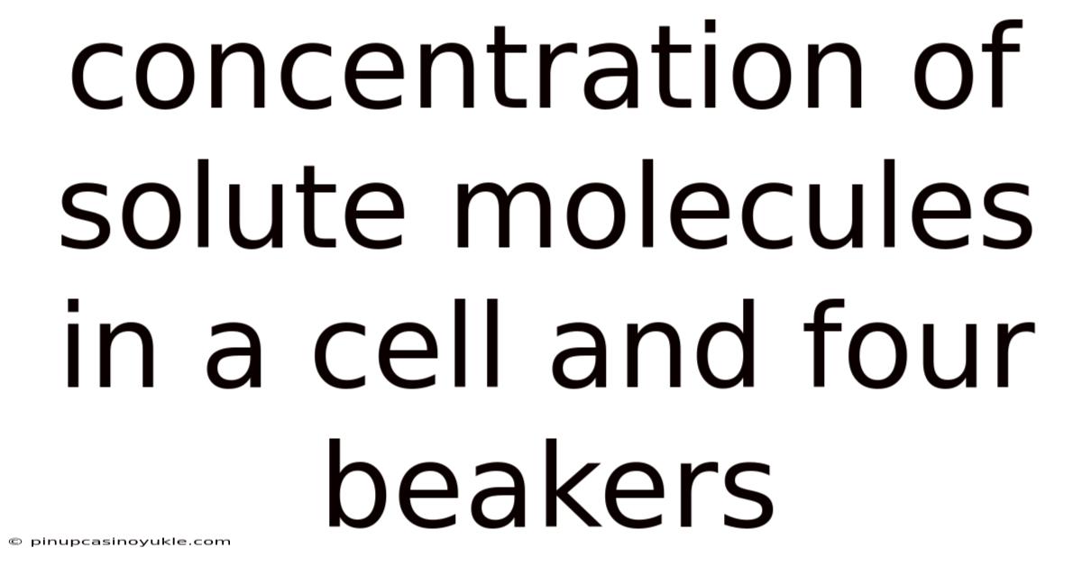 Concentration Of Solute Molecules In A Cell And Four Beakers