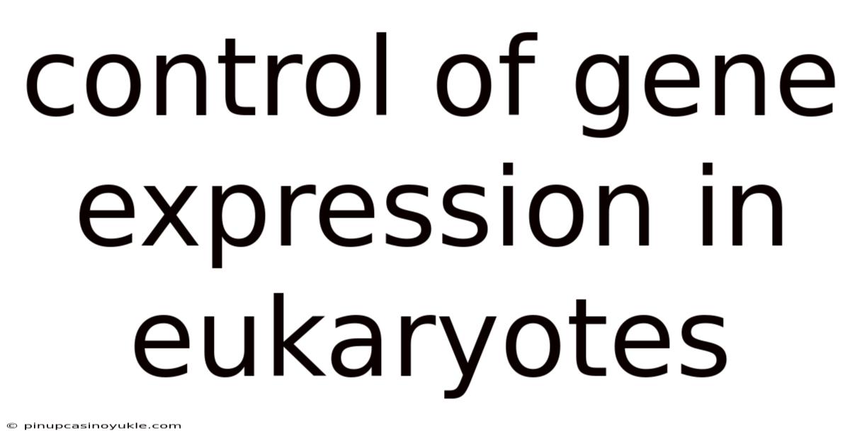Control Of Gene Expression In Eukaryotes