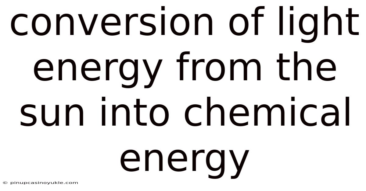 Conversion Of Light Energy From The Sun Into Chemical Energy