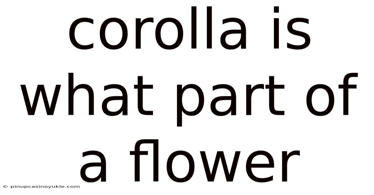 Corolla Is What Part Of A Flower