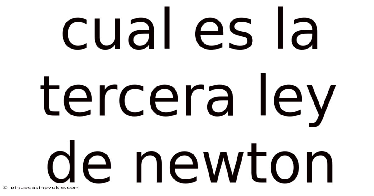 Cual Es La Tercera Ley De Newton