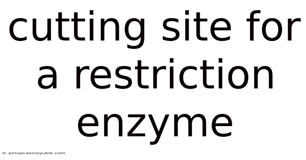 Cutting Site For A Restriction Enzyme