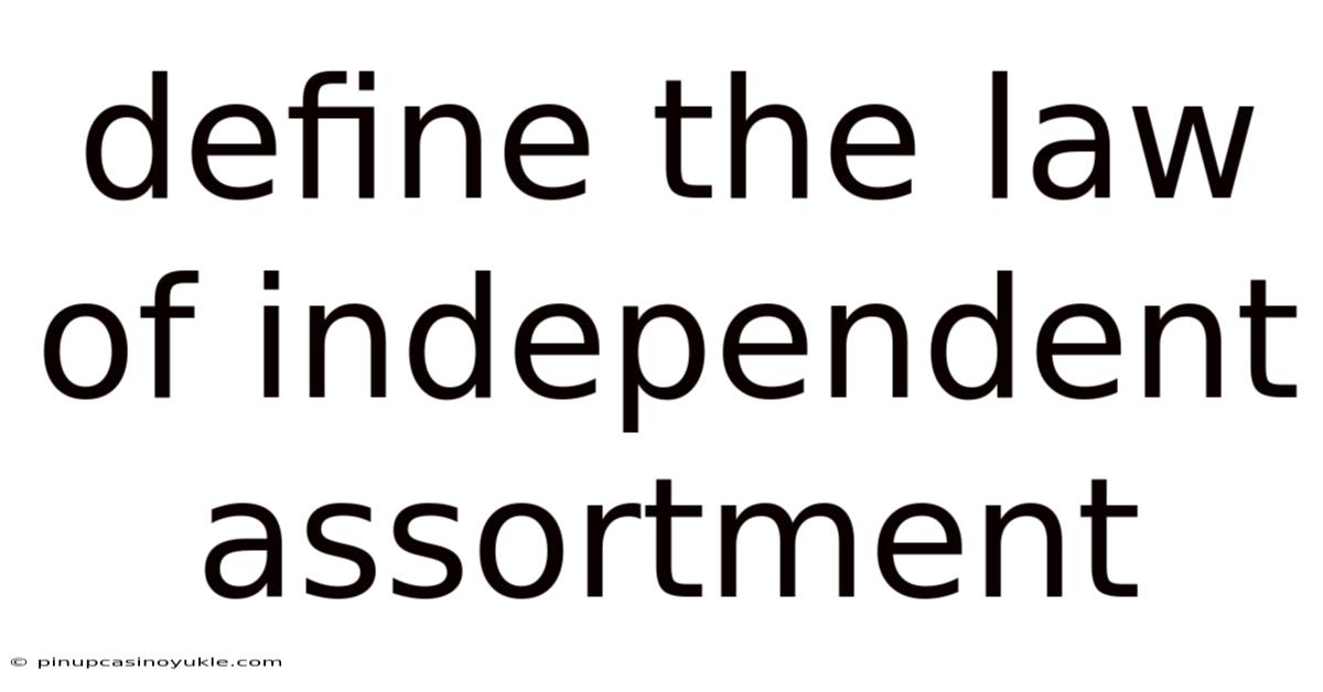 Define The Law Of Independent Assortment