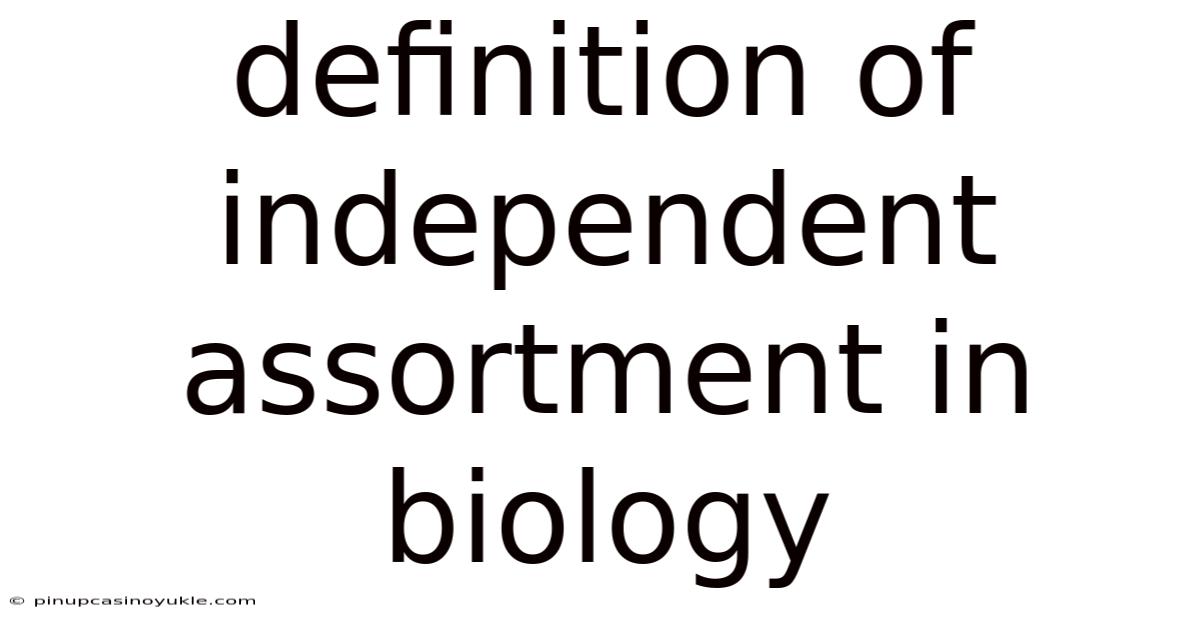 Definition Of Independent Assortment In Biology