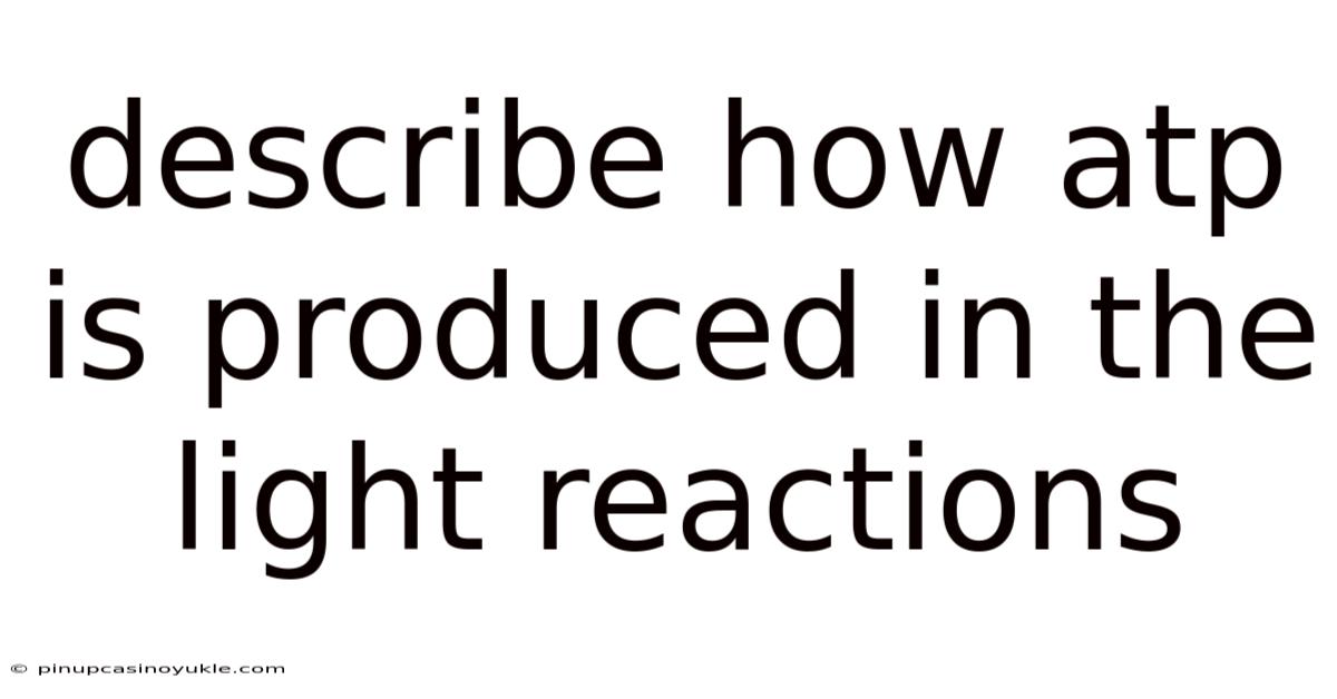 Describe How Atp Is Produced In The Light Reactions
