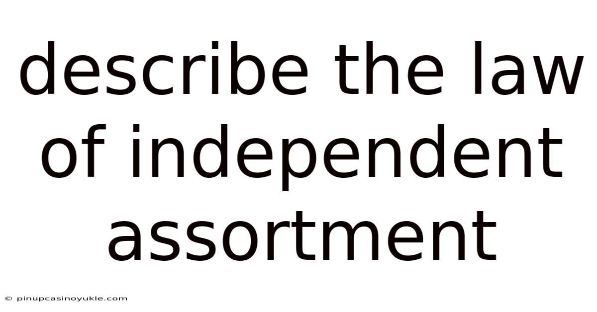 Describe The Law Of Independent Assortment