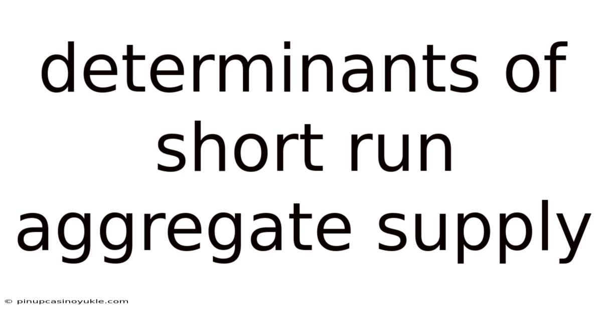 Determinants Of Short Run Aggregate Supply