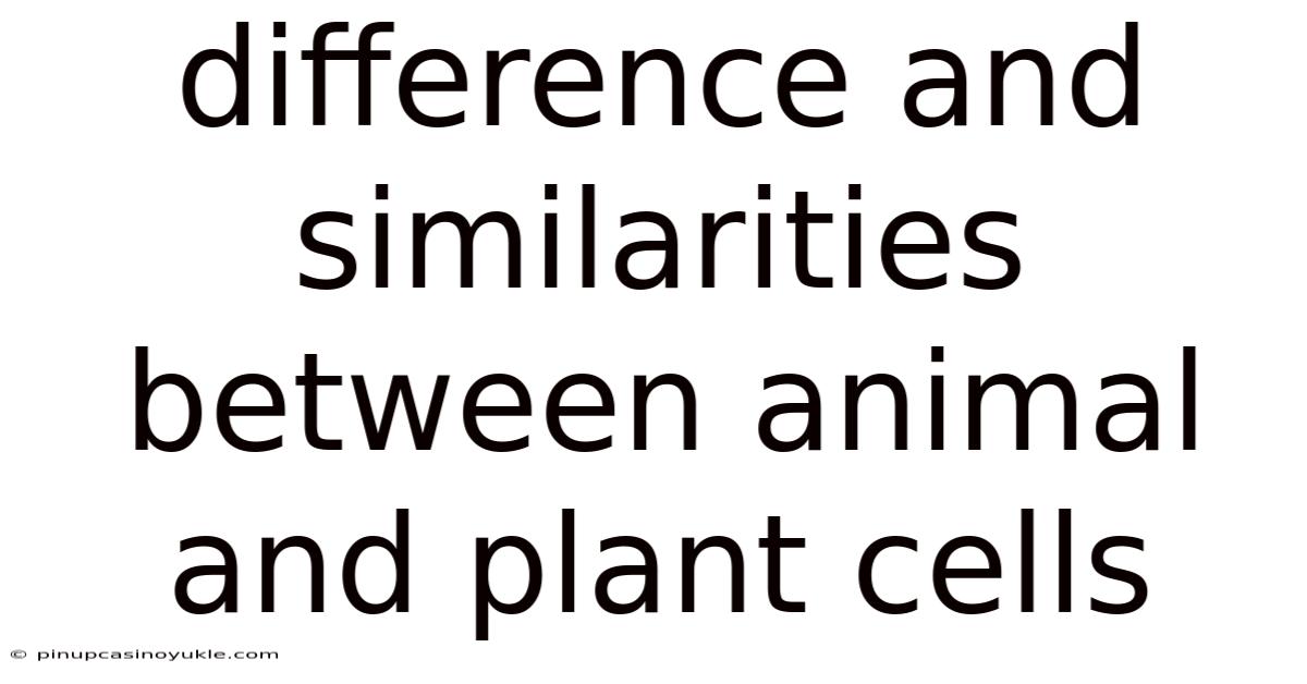 Difference And Similarities Between Animal And Plant Cells