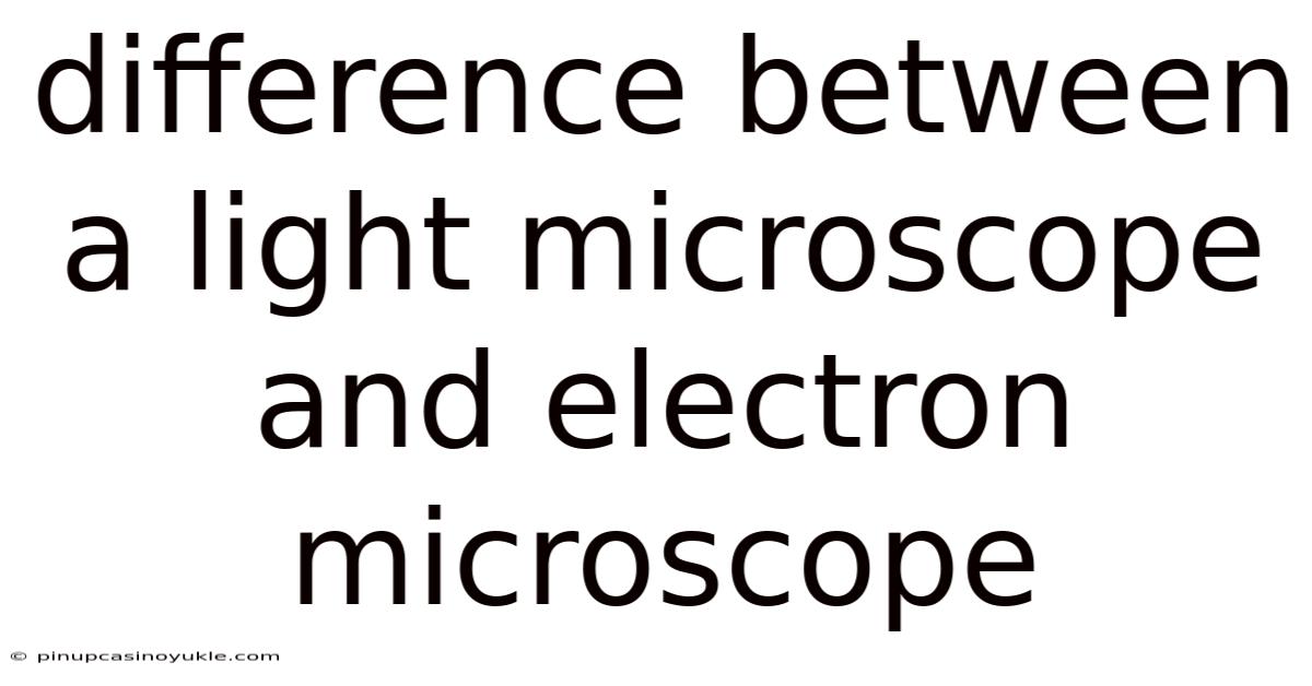 Difference Between A Light Microscope And Electron Microscope