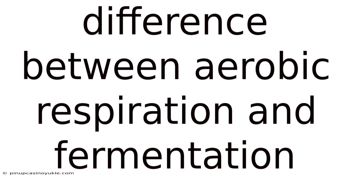 Difference Between Aerobic Respiration And Fermentation