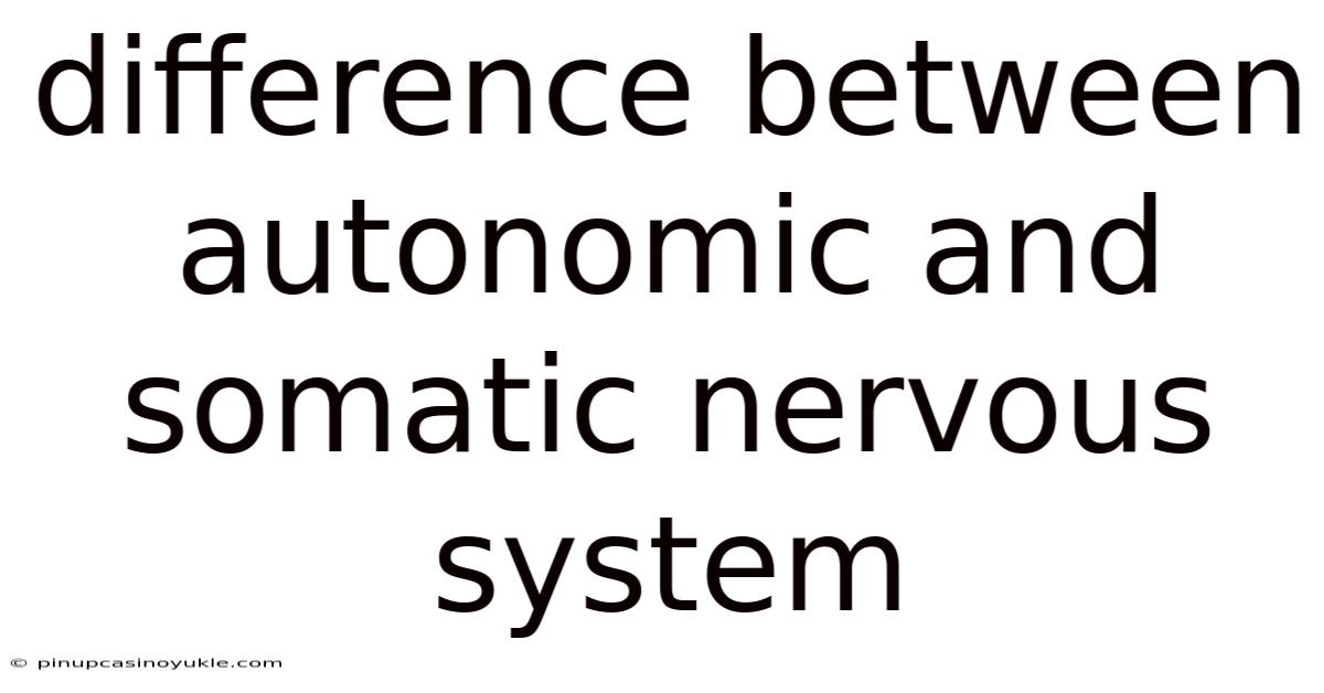 Difference Between Autonomic And Somatic Nervous System