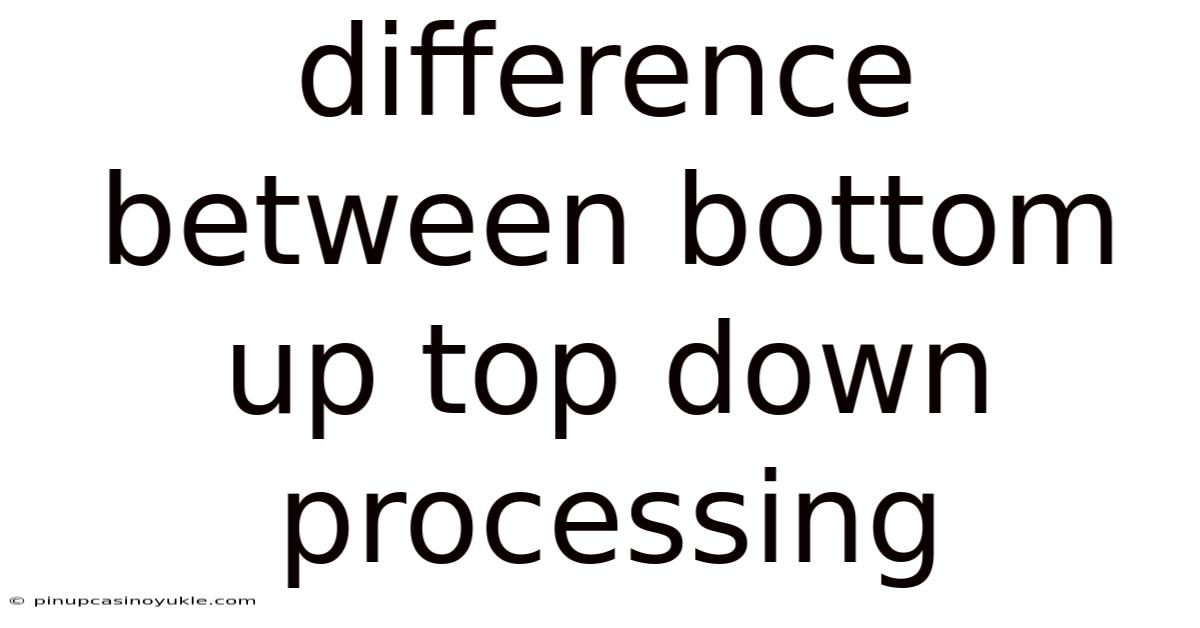 Difference Between Bottom Up Top Down Processing