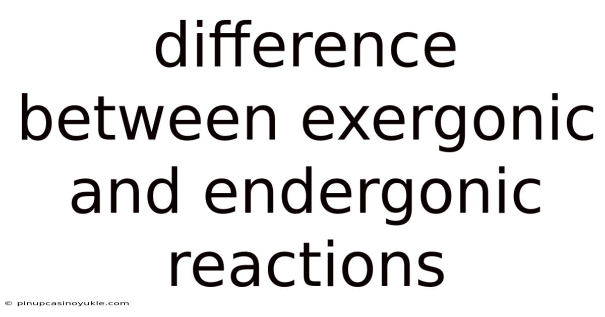 Difference Between Exergonic And Endergonic Reactions