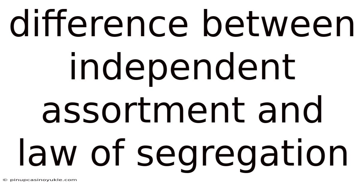 Difference Between Independent Assortment And Law Of Segregation