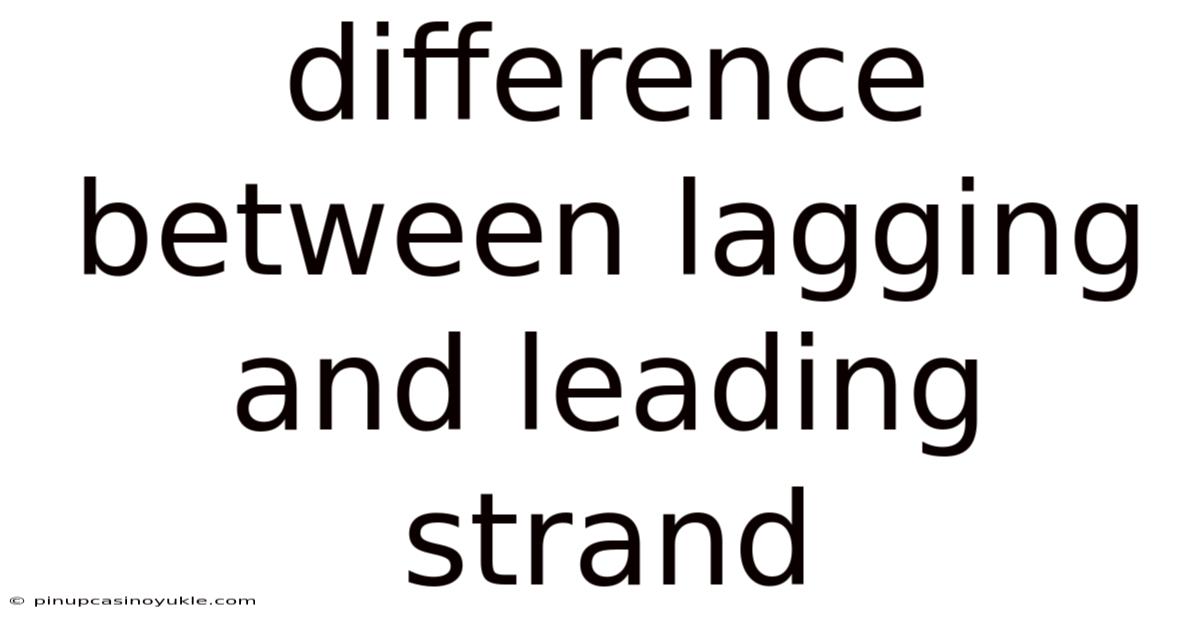 Difference Between Lagging And Leading Strand