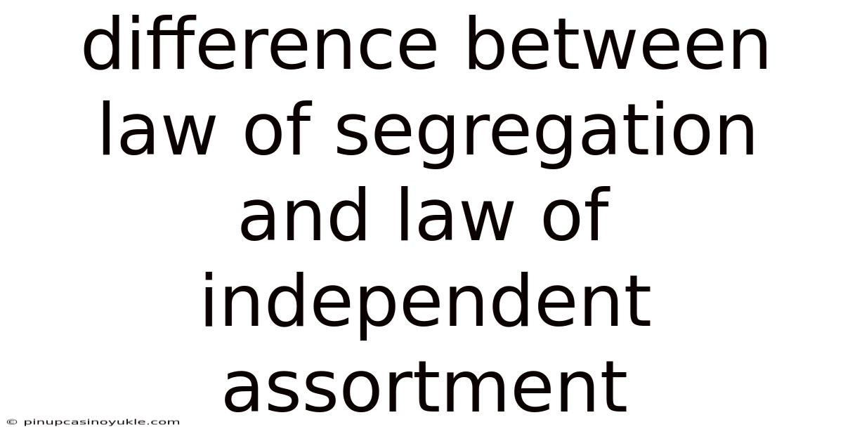 Difference Between Law Of Segregation And Law Of Independent Assortment
