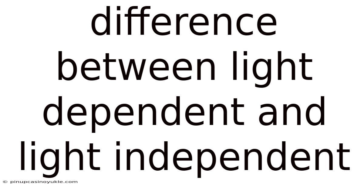 Difference Between Light Dependent And Light Independent