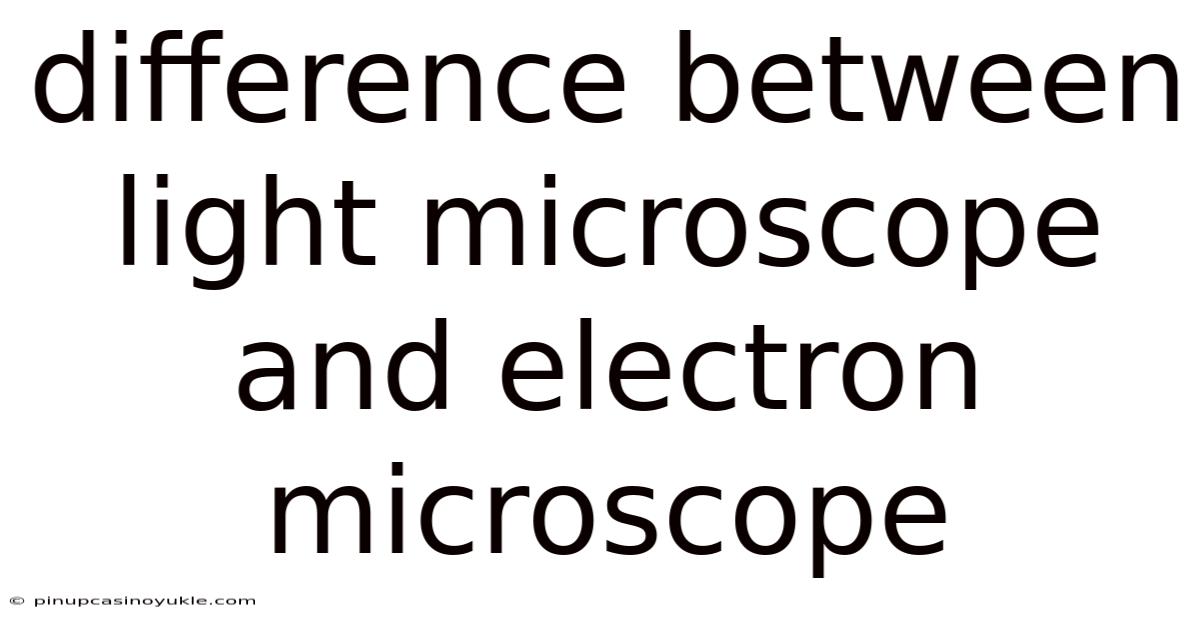 Difference Between Light Microscope And Electron Microscope