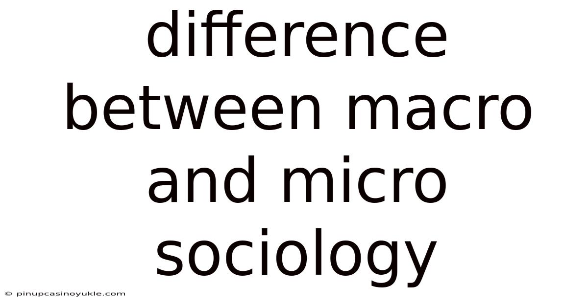 Difference Between Macro And Micro Sociology