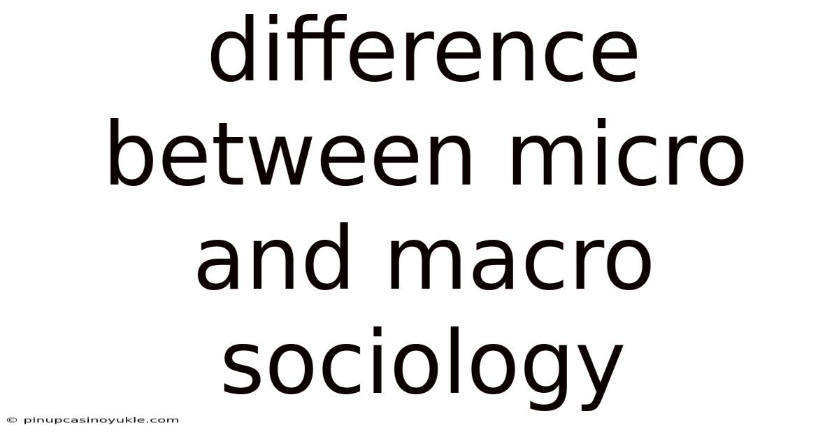 Difference Between Micro And Macro Sociology
