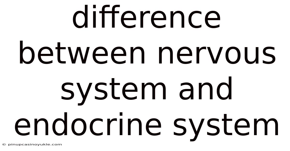 Difference Between Nervous System And Endocrine System