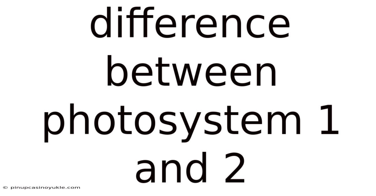 Difference Between Photosystem 1 And 2