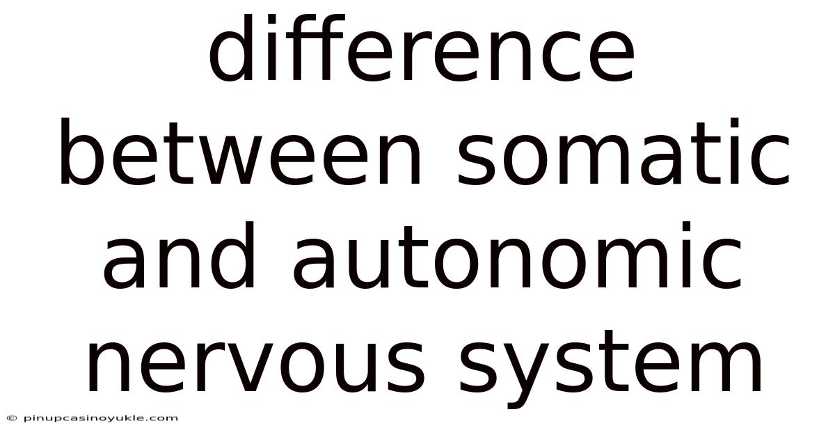 Difference Between Somatic And Autonomic Nervous System