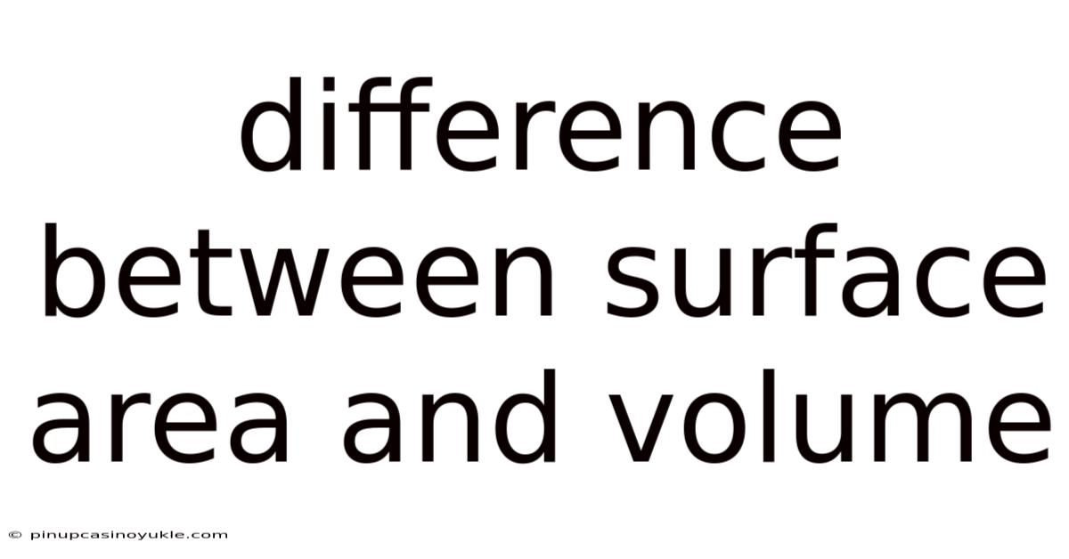 Difference Between Surface Area And Volume