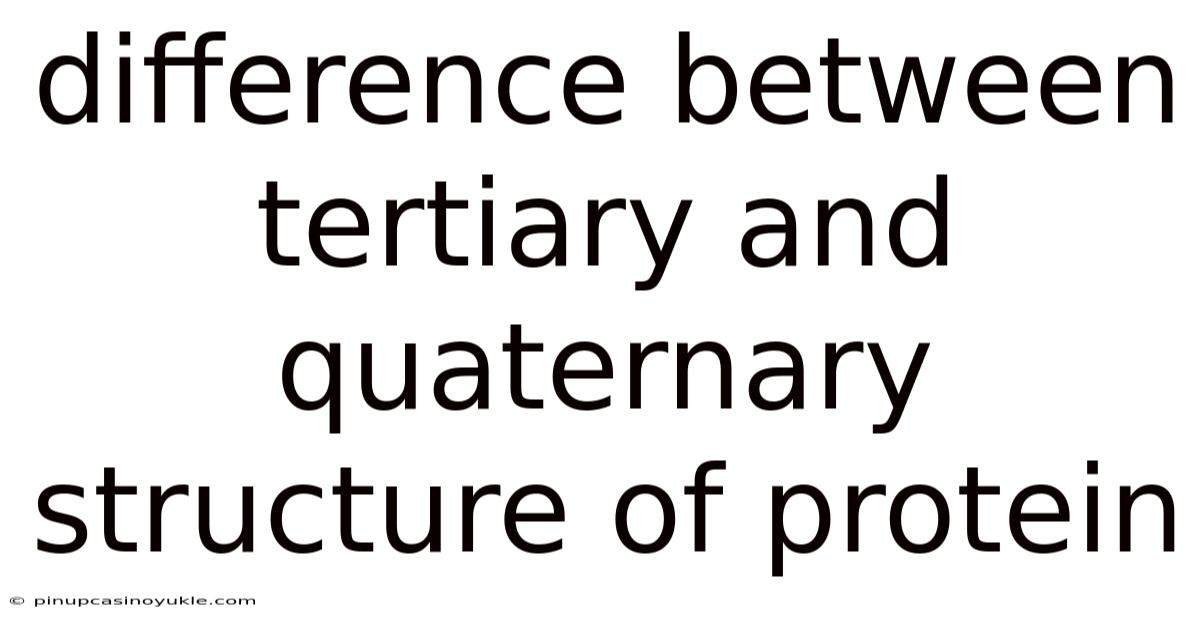 Difference Between Tertiary And Quaternary Structure Of Protein