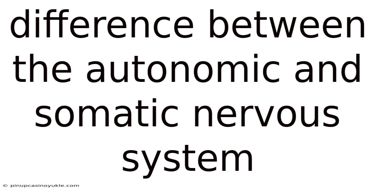 Difference Between The Autonomic And Somatic Nervous System
